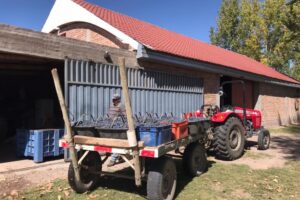 e1002ece-e8a1-4674-af73-93a546553e82-1