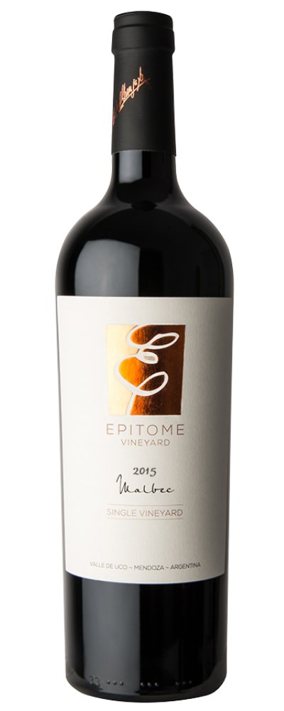 Untitled design (95)