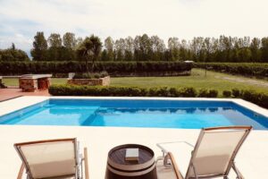 OLYMPUS DIGITAL CAMERA OLYMPUS DIGITAL CAMERA