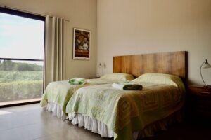 OLYMPUS DIGITAL CAMERA OLYMPUS DIGITAL CAMERA