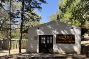 Museo Museo