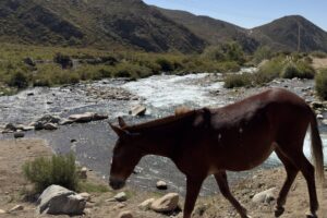RefreshmentTime RefreshmentTime