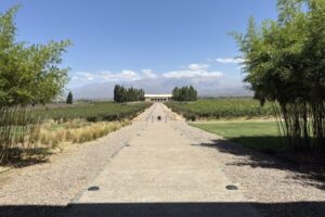 2025-02-20 14.02.31 2025-02-20 14.02.31