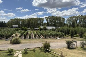 2025-02-21 13.57.16 2025-02-21 13.57.16