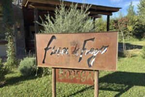 2025-02-22 09.29.58 2025-02-22 09.29.58