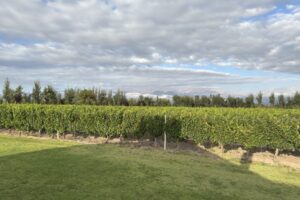 2025-02-23 08.42.58 2025-02-23 08.42.58