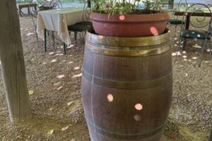 2025-02-24 17.47.24 2025-02-24 17.47.24