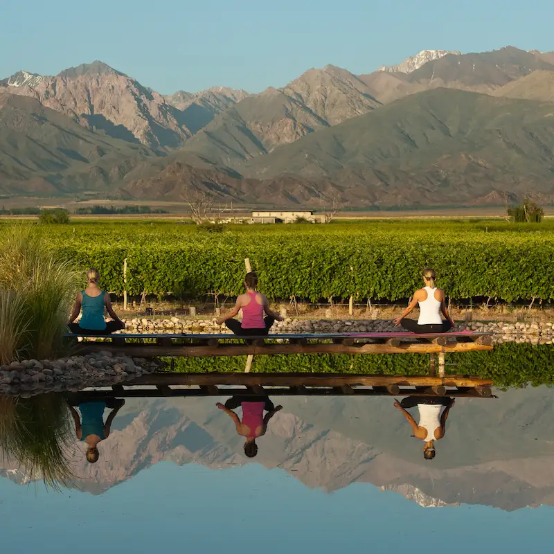 Yoga in the Vineyards