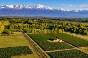 Aerial-View_Web-Aprroved