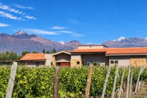 House_with_Vineyard_in_Foreground_and_Andes_in_background-Approved
